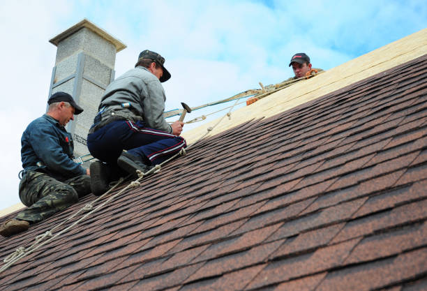 Best Metal Roofing Contractor  in Tryon, NC